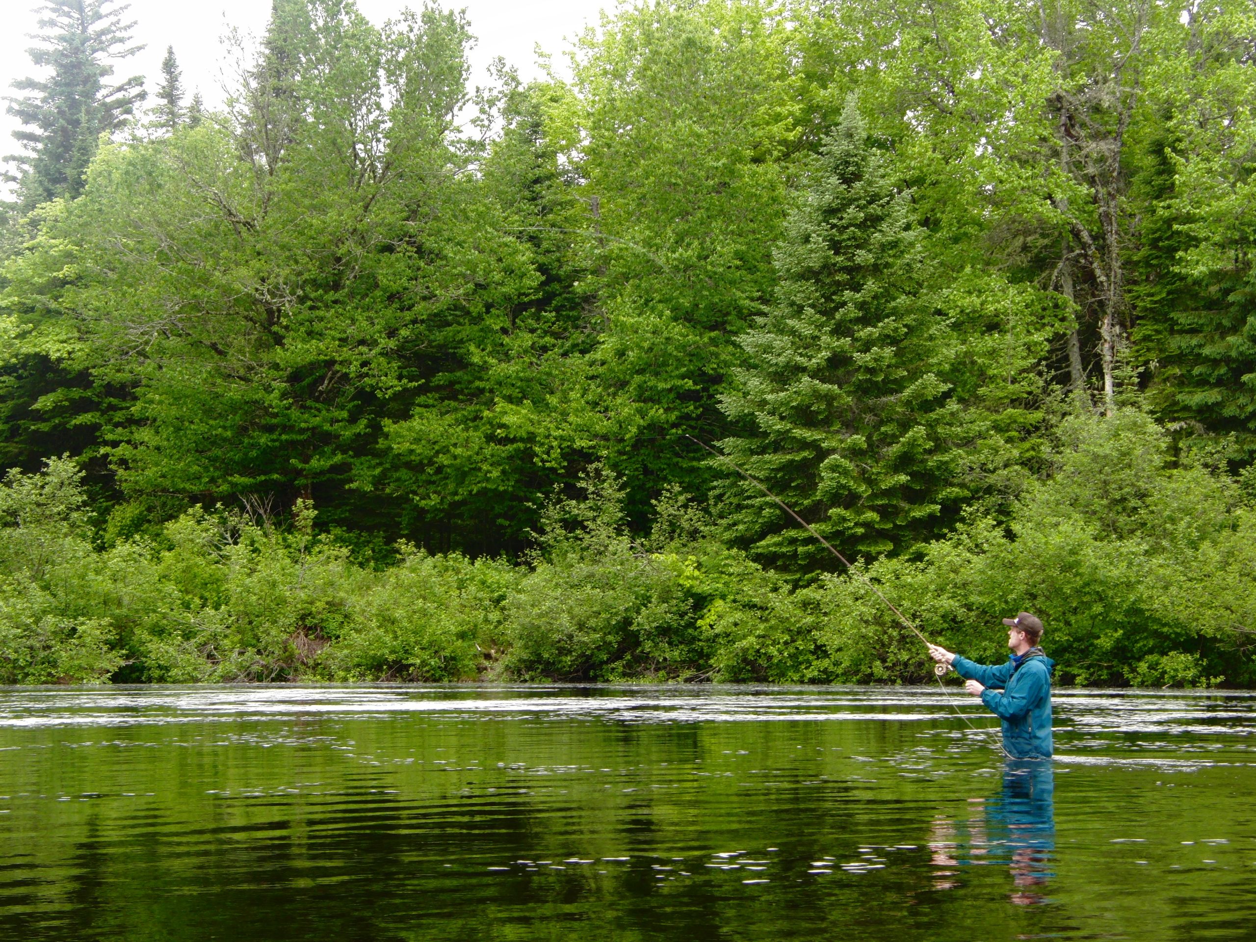 Fly fishing on the Dead River.