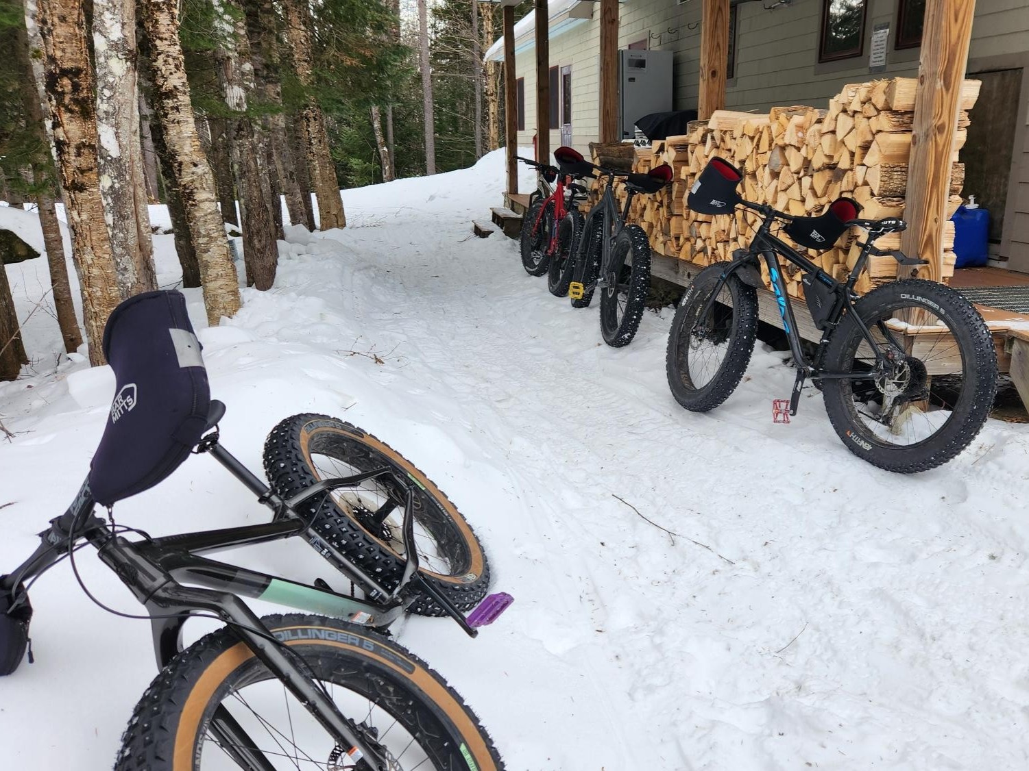 Fat bikes at Poplar Stream Hut.