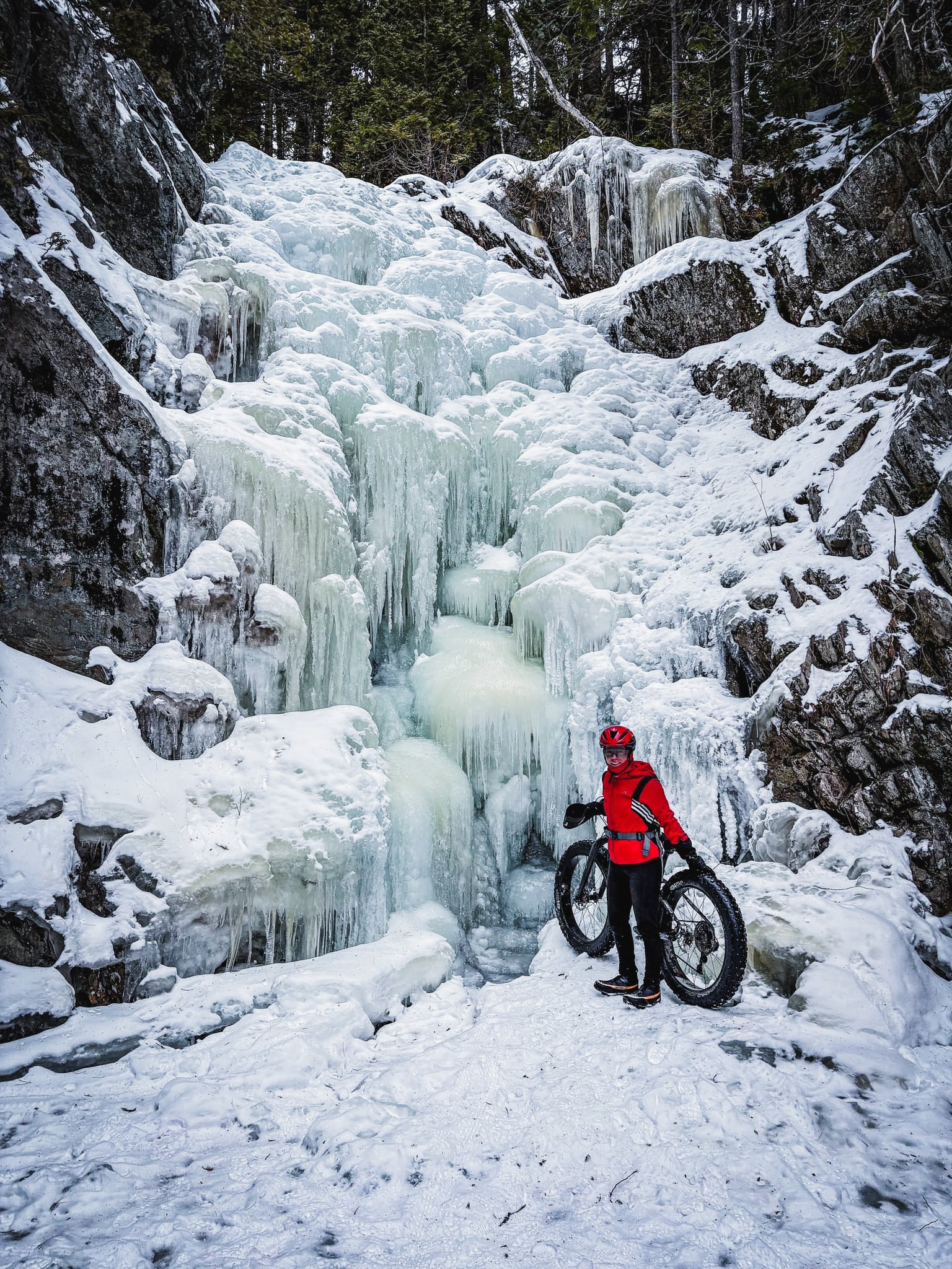 Fat biker at South Brook Fall off Larry's Trail.