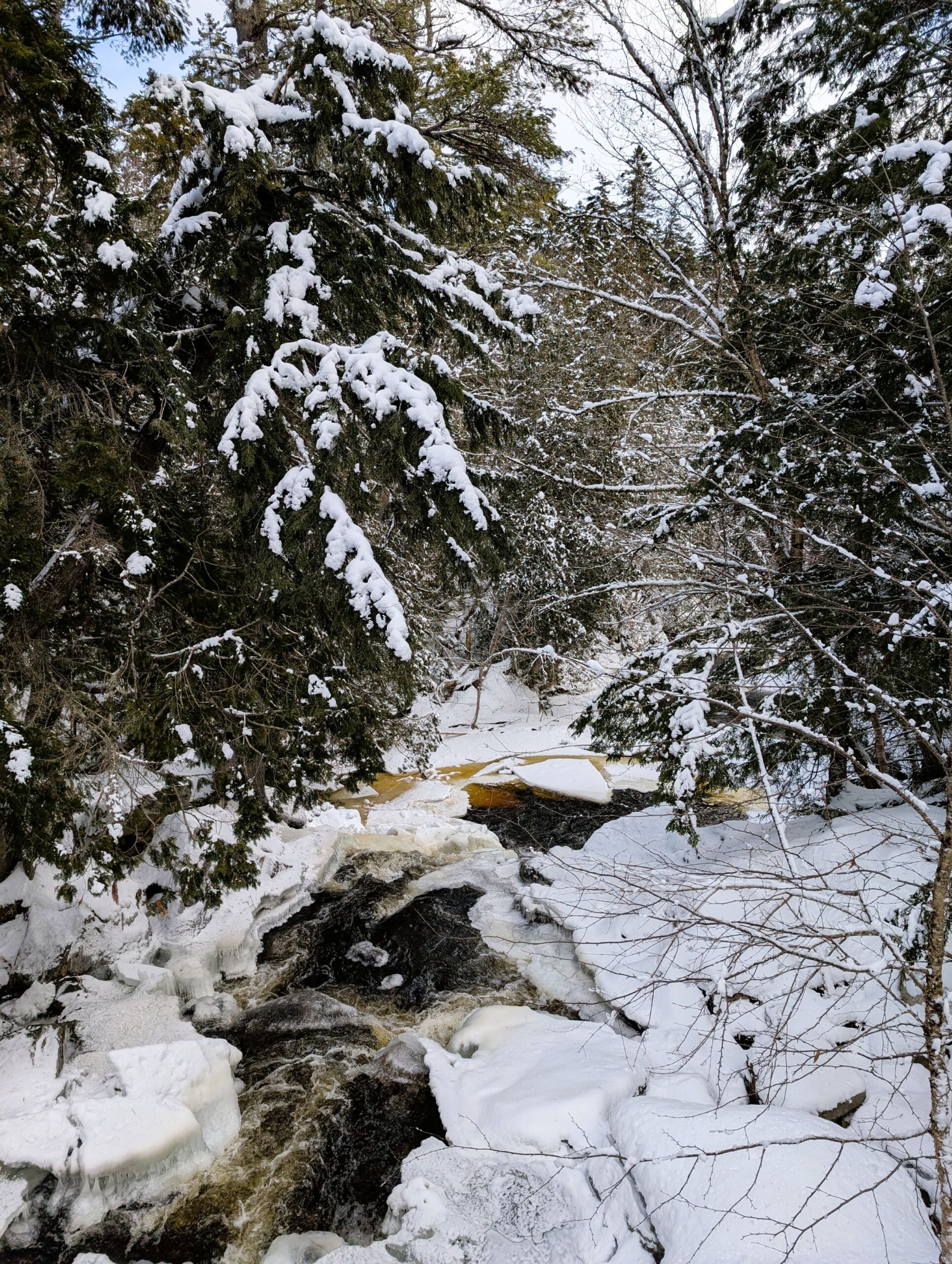 Poplar Stream in winter.