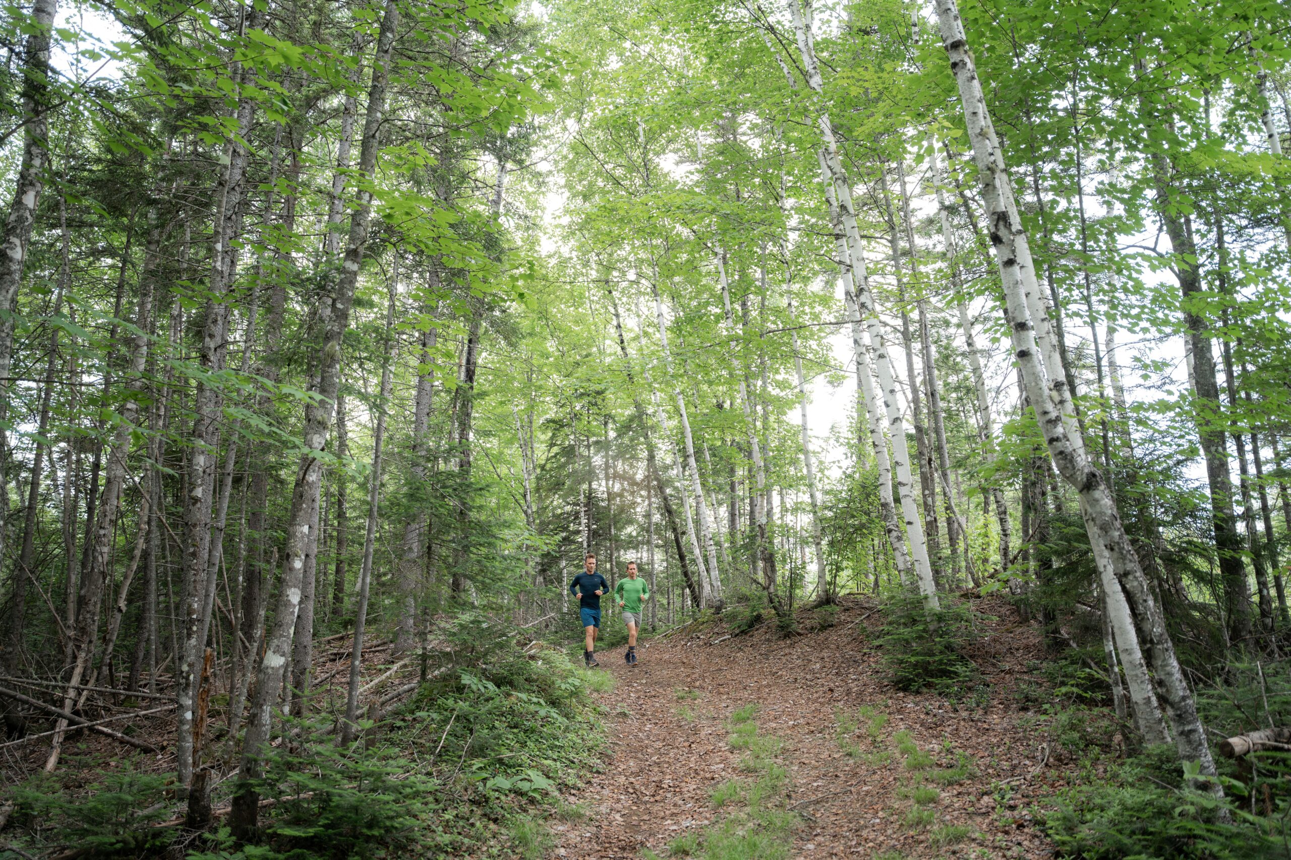 Trail running along the Maine Hut Trail near Flagstaff Lake.