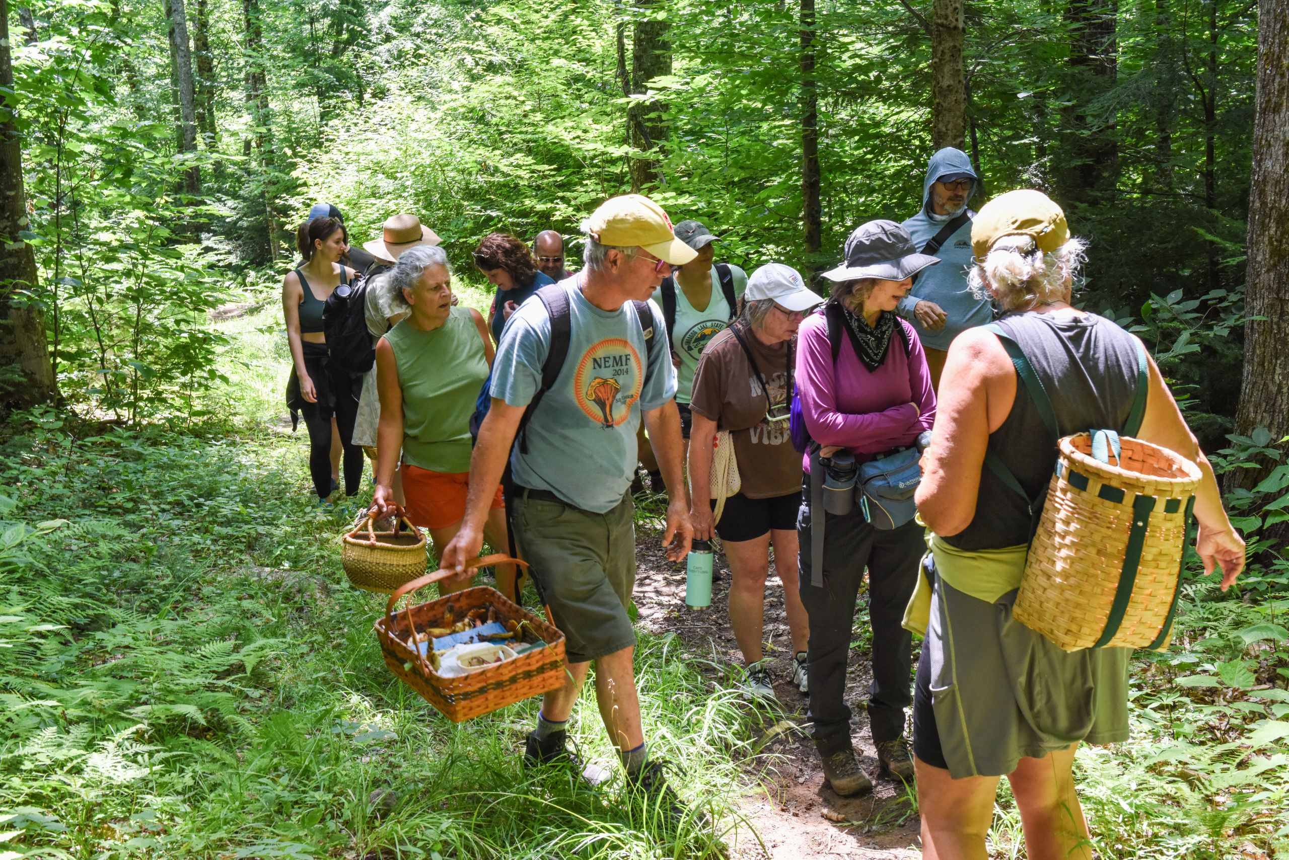 Foraging mushrooms with expert Greg Marley at Forest & Forage.