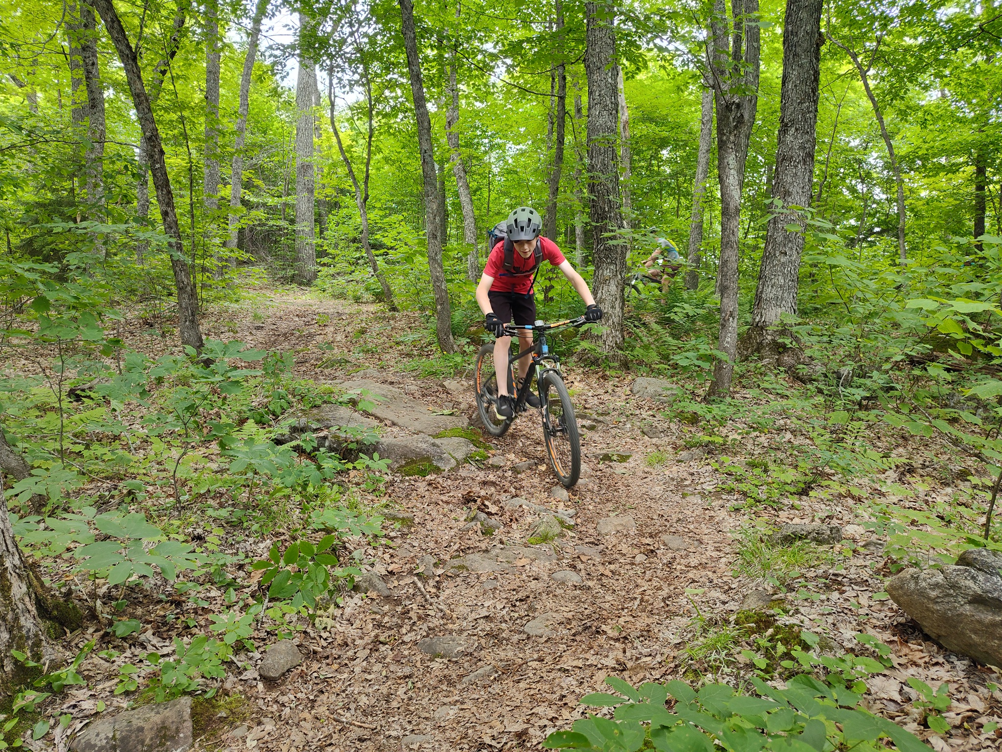 Mountain biking down from Stratton Brook Hut