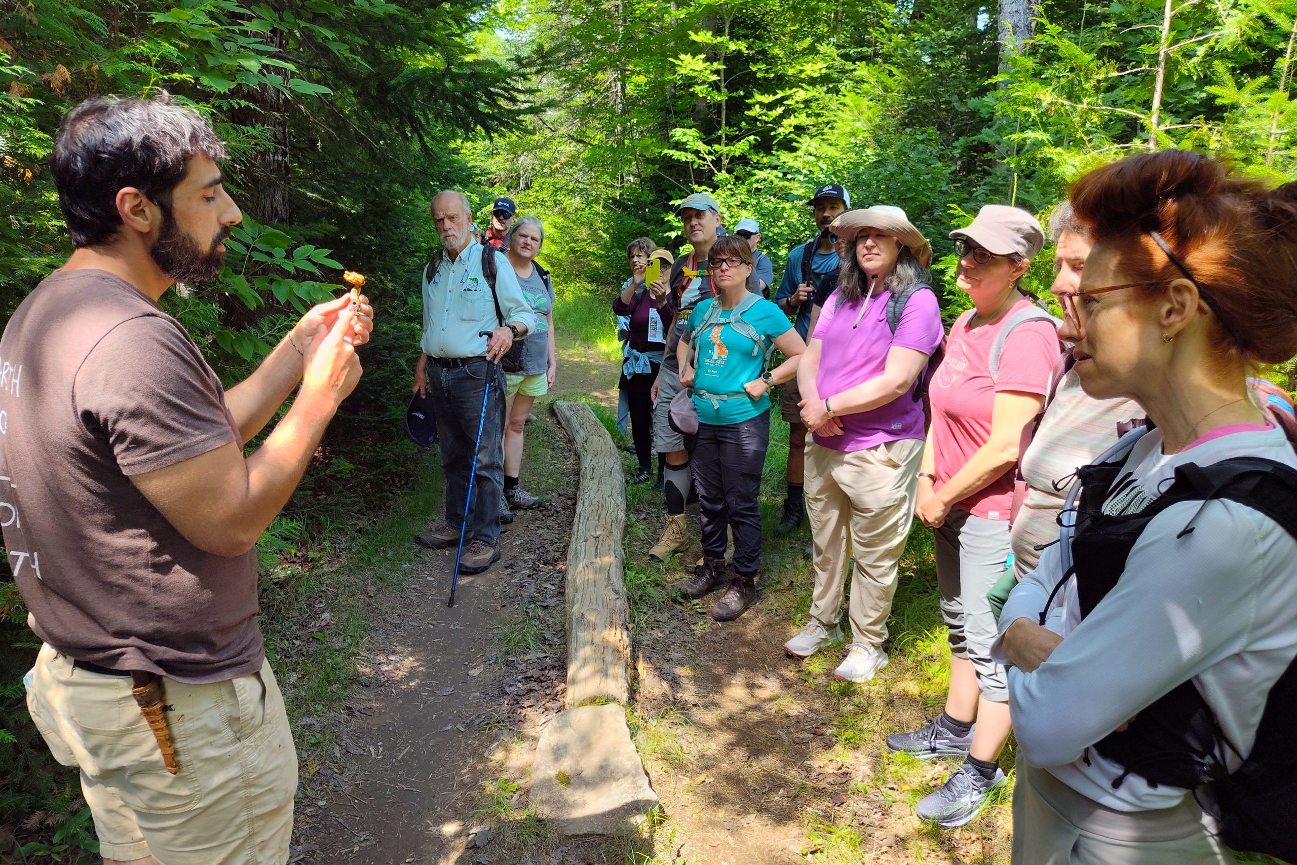 Mushroom foraging with Zack at Forest & Forage