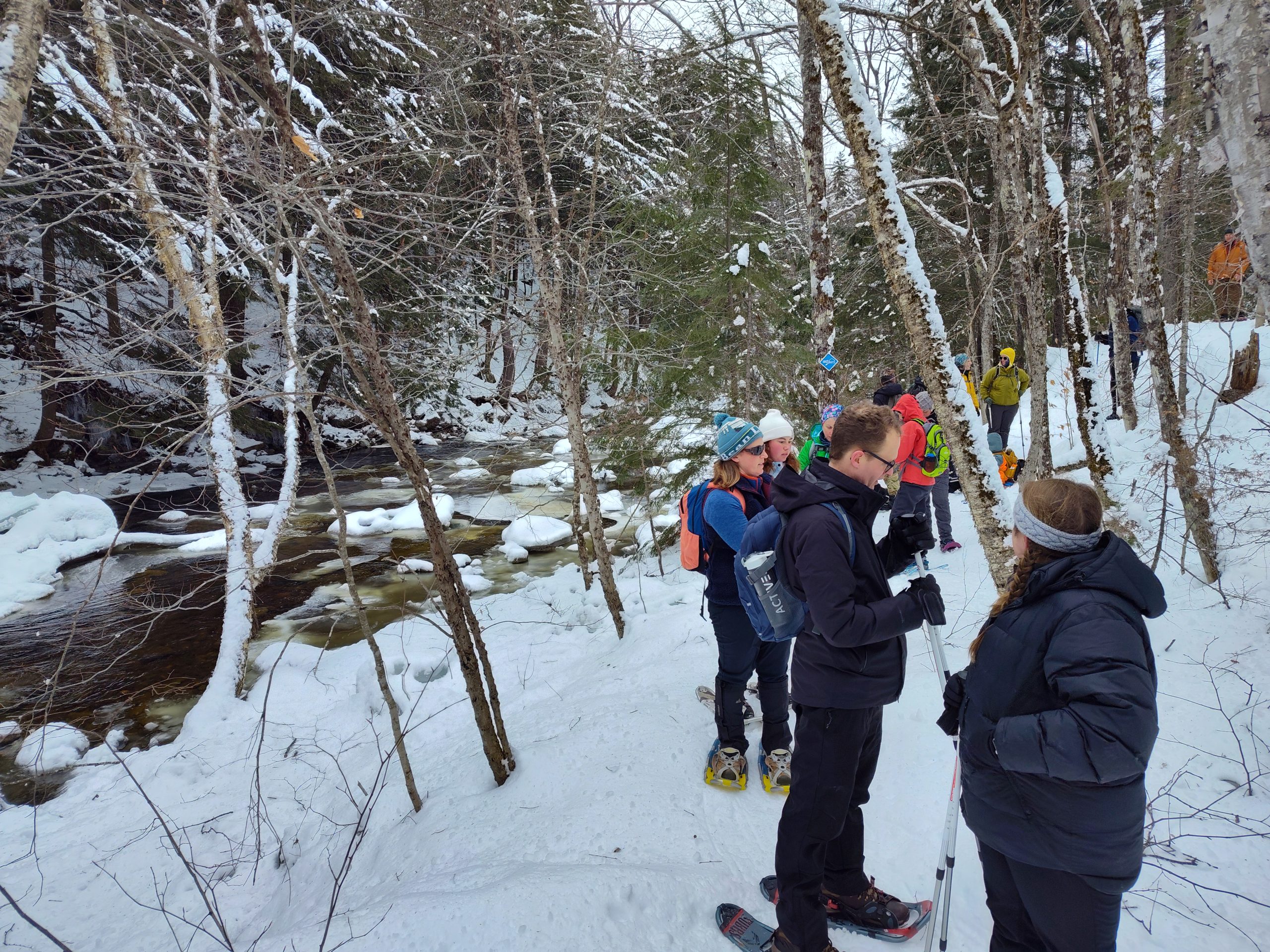 Snowshoe by Poplar Stream